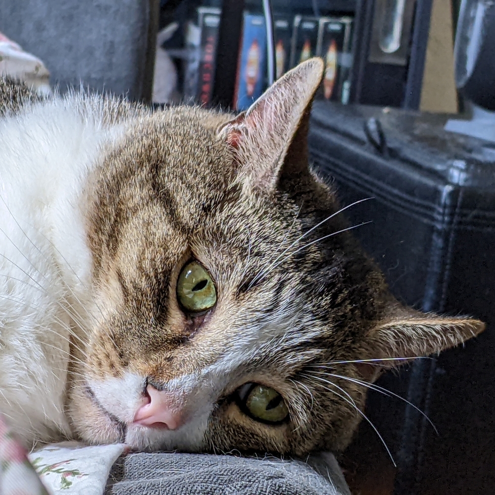 Meet your Posher, Kate